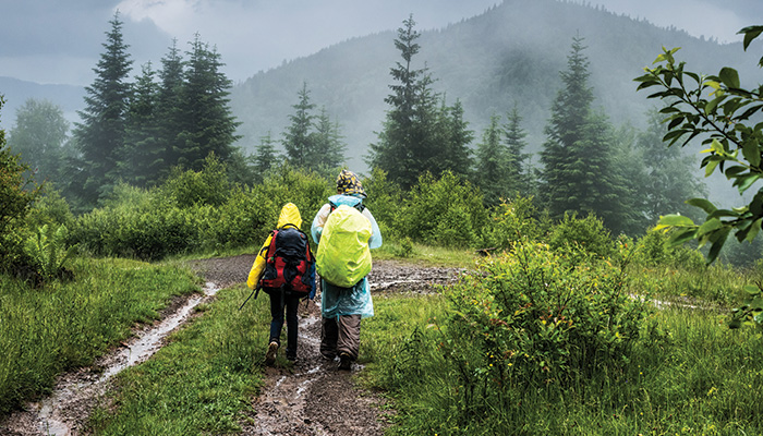 Monsoon Travel Essentials- Smart Tips for Rainy Escapes, Treks & Waterfall Adventures